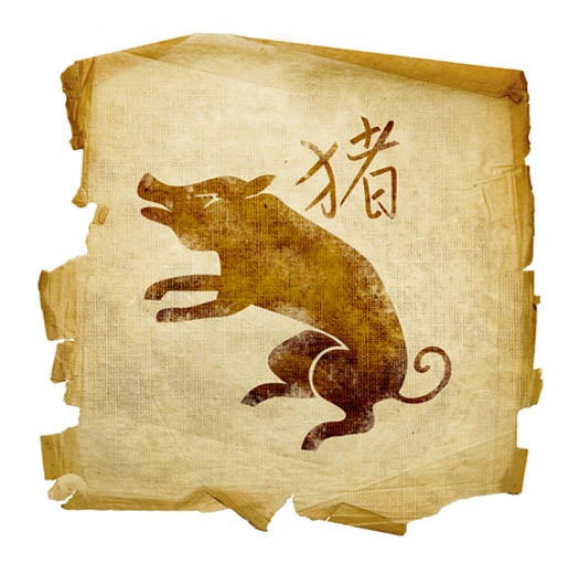 CHINESE ZODIAC PIG