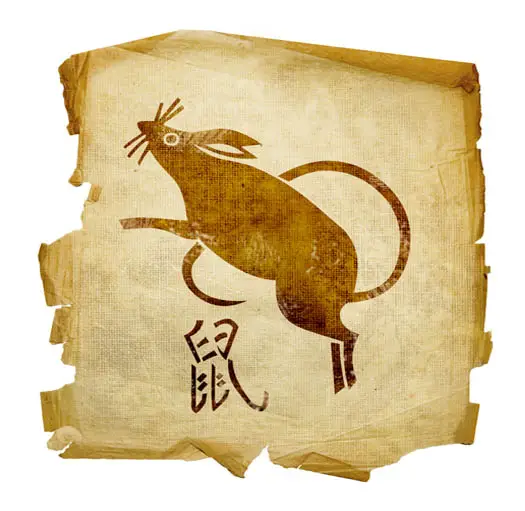 CHINESE ZODIAC RAT
