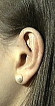 The Ears 
