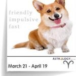 Pet Astrology - Canine - Aries