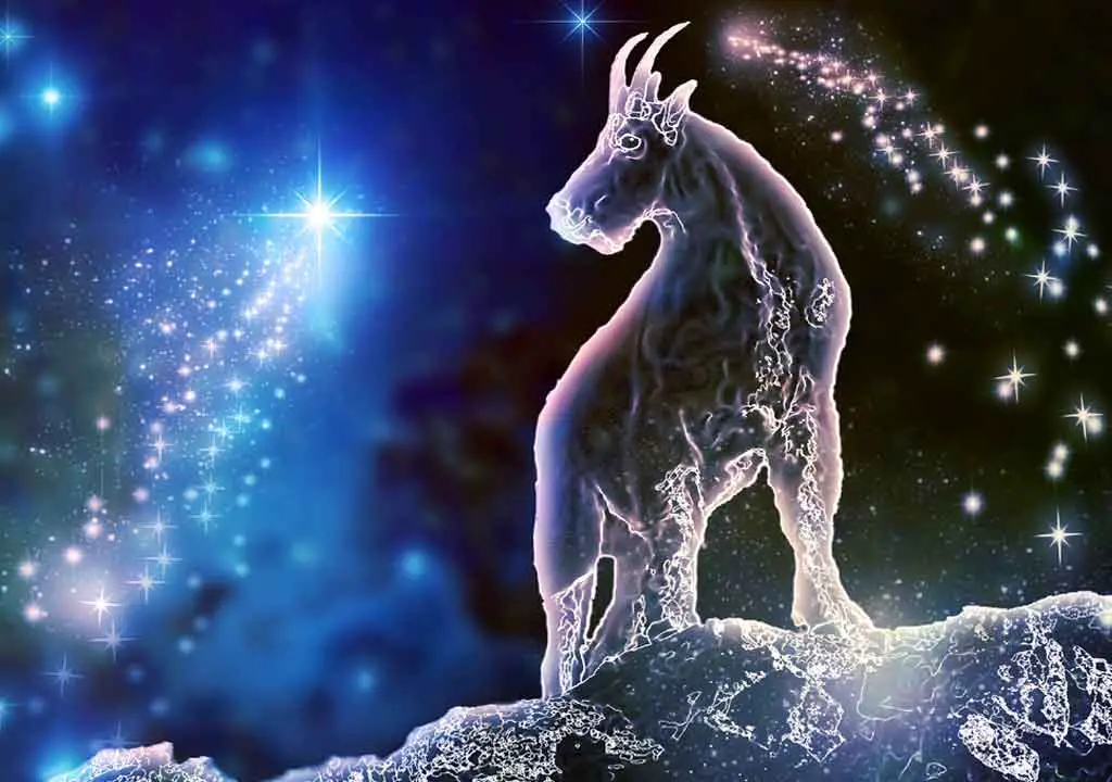 Zodiac Capricorn Horoscope