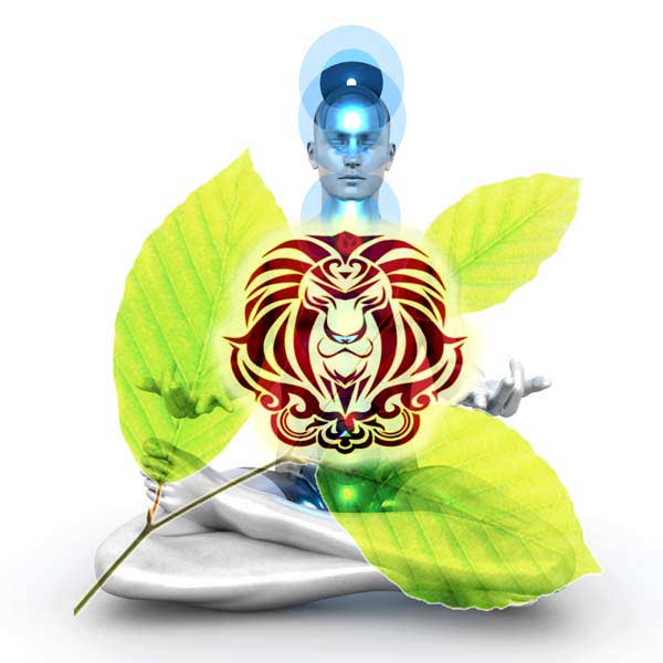 Leo Health and Wellbeing Astrology