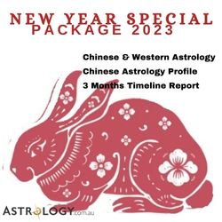 CHINESE NEW YEAR SPECIAL 2023 JPG